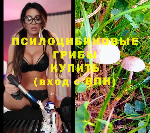 спайс Балахна