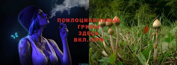 а пвп мука Баксан
